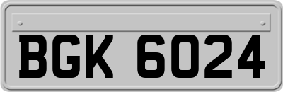 BGK6024