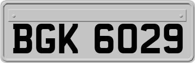 BGK6029