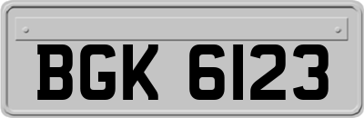 BGK6123
