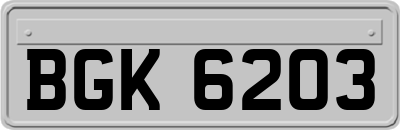BGK6203