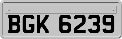 BGK6239