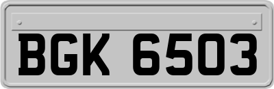 BGK6503