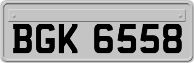 BGK6558