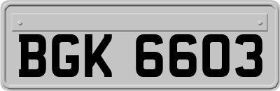 BGK6603