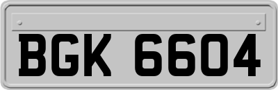 BGK6604