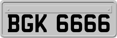 BGK6666