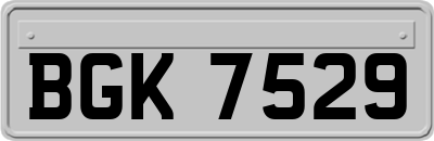 BGK7529