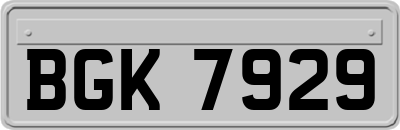 BGK7929
