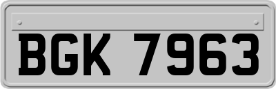BGK7963
