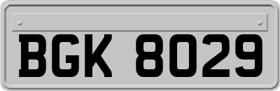 BGK8029