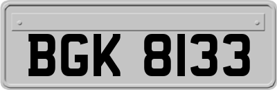 BGK8133