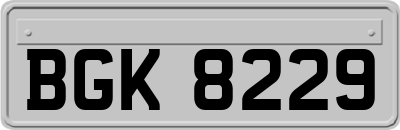 BGK8229