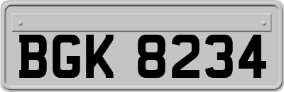 BGK8234
