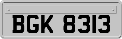 BGK8313