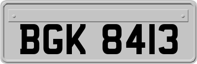 BGK8413