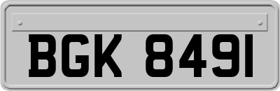 BGK8491