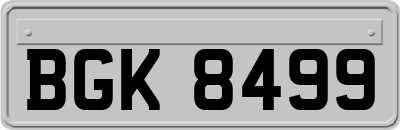 BGK8499