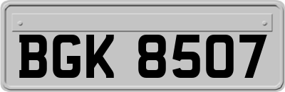 BGK8507