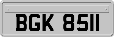 BGK8511