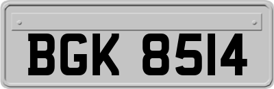 BGK8514