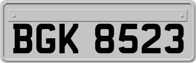 BGK8523