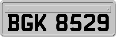 BGK8529