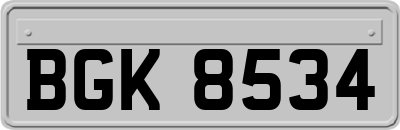 BGK8534