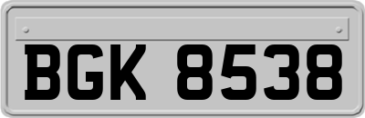 BGK8538