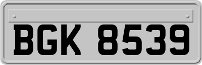 BGK8539