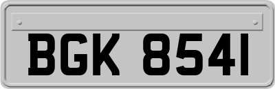 BGK8541