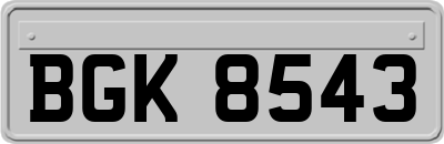 BGK8543