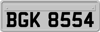 BGK8554