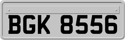 BGK8556