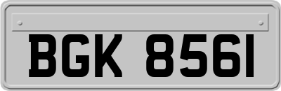 BGK8561