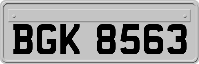 BGK8563