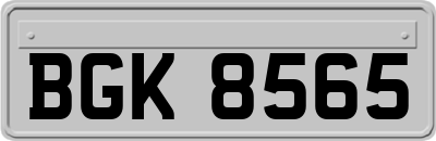 BGK8565