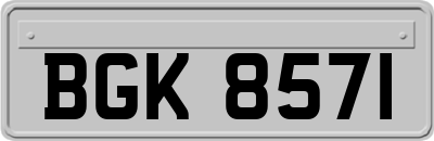 BGK8571