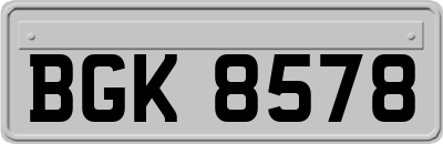BGK8578