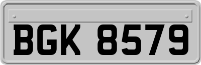 BGK8579