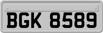 BGK8589