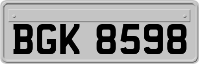 BGK8598