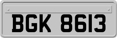 BGK8613