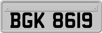 BGK8619