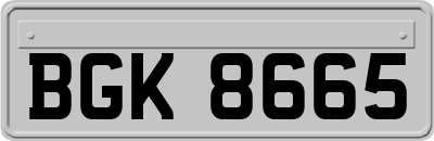 BGK8665