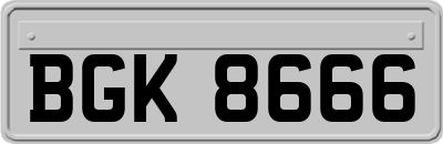 BGK8666