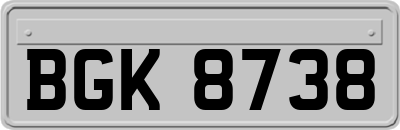 BGK8738