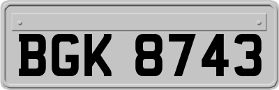 BGK8743