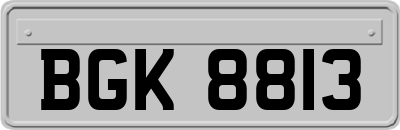 BGK8813