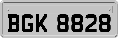 BGK8828