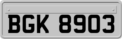 BGK8903